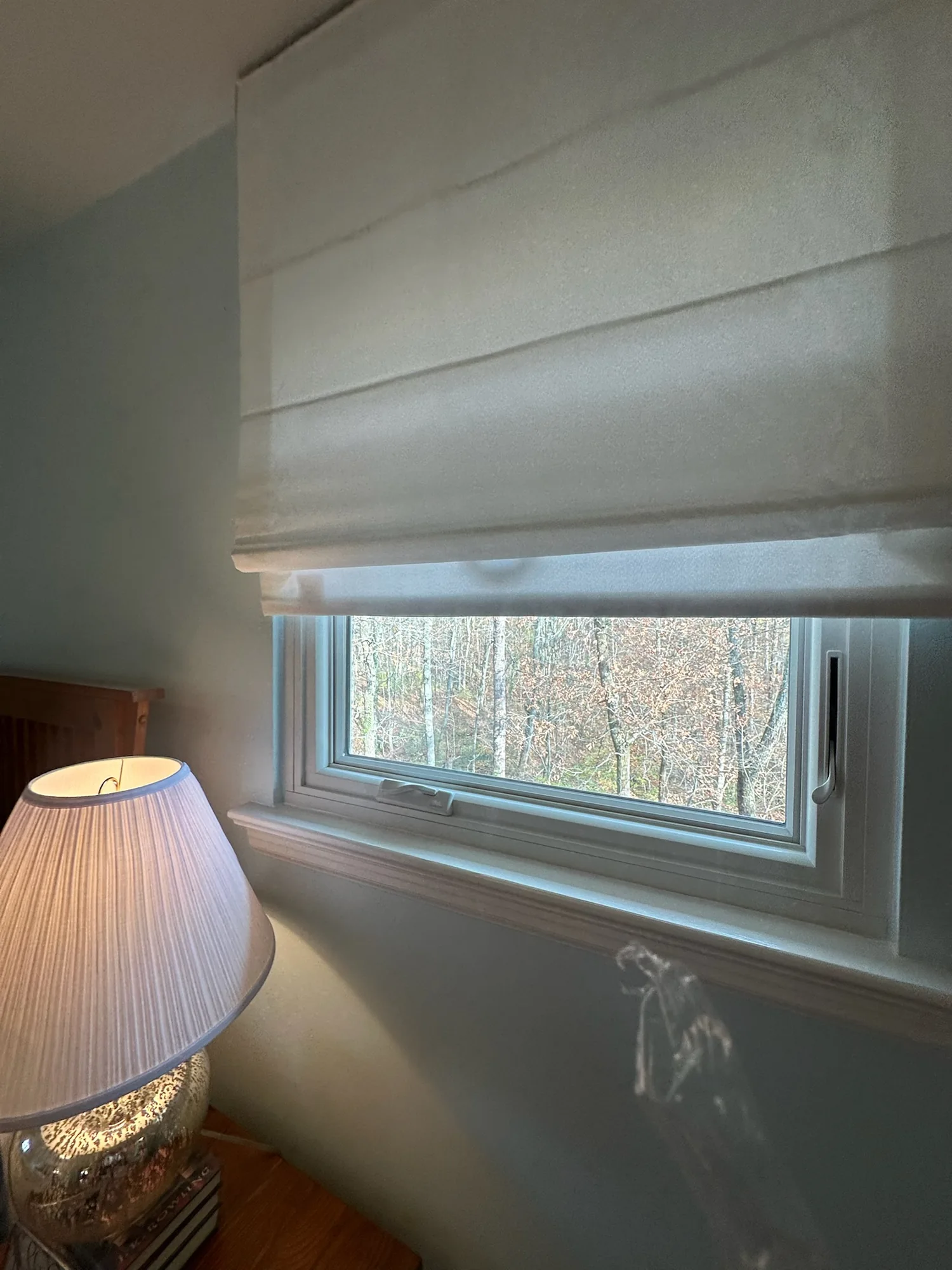 Roman shades installed in Gilmer County, GA by Love Is Blinds